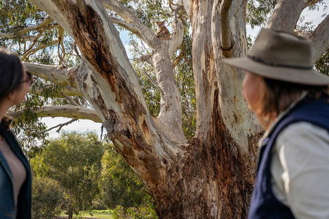 Full Day Flinders Chase Tour From Kangaroo Island - Holiday Byron Bay 5