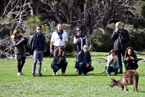 Small-Group Kangaroo Island 4WD Tour From Adelaide - Holiday Byron Bay 2