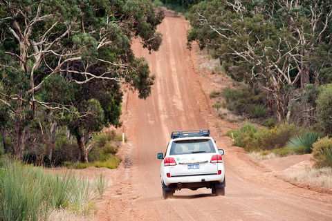 Small-Group Kangaroo Island 4WD Tour From Adelaide - Holiday Byron Bay 3