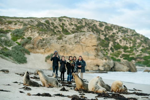 Small-Group Kangaroo Island 4WD Tour From Adelaide - Holiday Byron Bay 4
