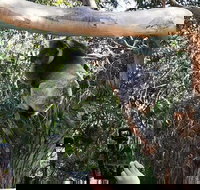 Small-Group Great Ocean Road Day Trip from Melbourne