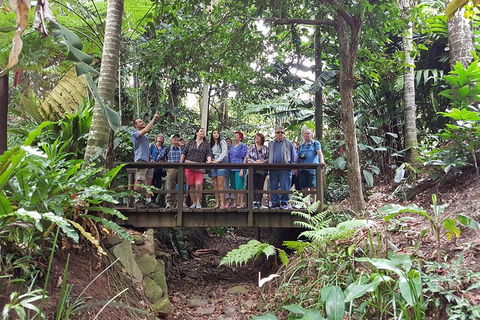 Cairns Shore Excursion: Cairns City Sights & Surrounds Tour - Holiday Byron Bay 1
