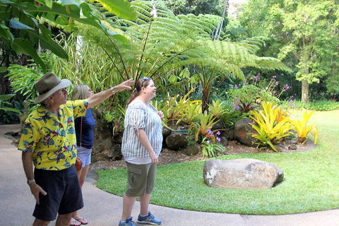 Cairns Shore Excursion: Cairns City Sights & Surrounds Tour - Holiday Byron Bay 4