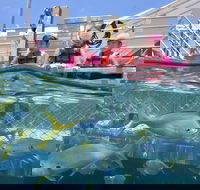 Outer Reef Pontoon Experience from Cairns - Holiday Byron Bay