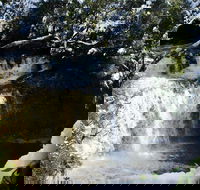 Cradle Mountain Day Tour from Launceston Including Lunch - Holiday Byron Bay