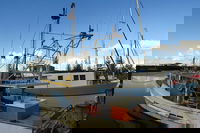 Beyond Byron Hinterland Tour, Byron Bay