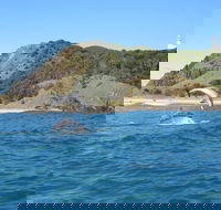 Kayaking with Dolphins in Byron Bay Guided Tour - Holiday Byron Bay
