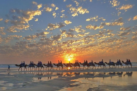 Broome City Sightseeing Tour With Optional Camel Ride - Holiday Byron Bay 1