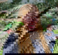 Great Ocean Road Reverse Itinerary with 12 Apostles from Melbourne