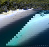 All-Inclusive Fraser Island Day Tour - Holiday Byron Bay