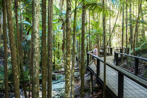 All-Inclusive Fraser Island Day Tour - Holiday Byron Bay 5