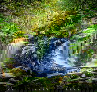 Day Tour in Mt. Field Mt. Wellington Bonorong Wildlife Sanctuary and Richmond - Holiday Byron Bay