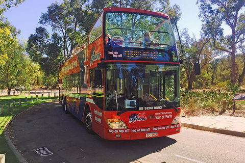 Perth Hop-On Hop-Off Bus Tour - Holiday Byron Bay 4