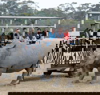 Off-Road Safari at Werribee Open Range Zoo
