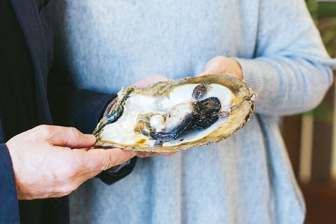 Half-Day Willie Creek Pearl Farm Tour With Helicopter Flight - Holiday Byron Bay 3