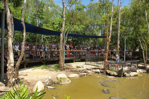 Hartley's Crocodile Adventures Breakfast With The Koalas - Holiday Byron Bay 1