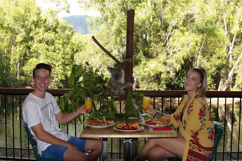 Hartley's Crocodile Adventures Breakfast With The Koalas - Holiday Byron Bay 5
