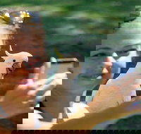 2-Day Melbourne to Adelaide Tour Great Ocean Road and Grampians One Way Trip