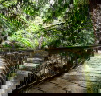 12 Apostles Eco-Friendly Great Ocean Road Iconic Adventure from Melbourne