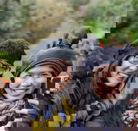 Small-Group Great Ocean Road and 12 Apostles Full-Day Tour from Melbourne