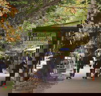 Adelaide Highlights Hahndorf  McLaren Vale Wine Tasting and Sightseeing Tour - Holiday Byron Bay