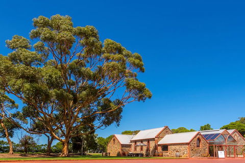 McLaren Vale And Glenelg Wine Tasting And Sightseeing (Half-day Afternoon) - Holiday Byron Bay 5