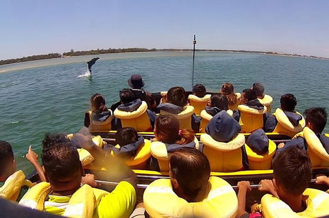 Express Jet Boat Ride + Aquaduck - Holiday Byron Bay 4