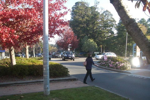 PRIVATE All-Day Blue Mountains Tour With Professional Guide For Up To 4 People - Holiday Byron Bay 1