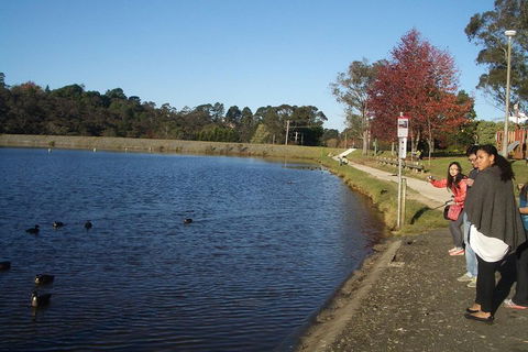 PRIVATE All-Day Blue Mountains Tour With Professional Guide For Up To 4 People - Holiday Byron Bay 2