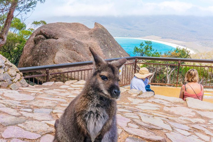  Holiday Byron Bay