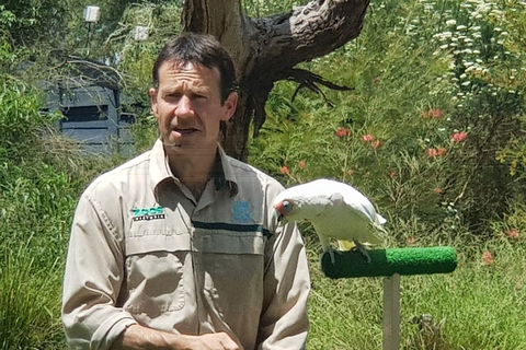 Healesville Sanctuary And Rayners Orchard Tour From Melbourne - Holiday Byron Bay 0