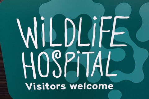 Healesville Sanctuary And Rayners Orchard Tour From Melbourne - Holiday Byron Bay 1