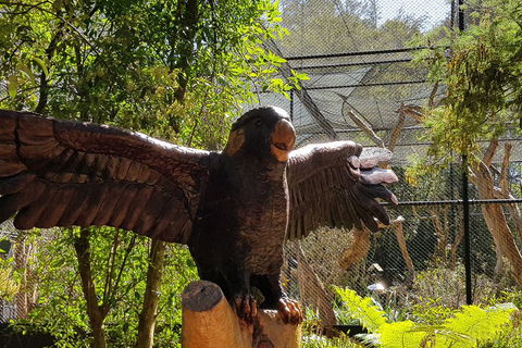Healesville Sanctuary And Rayners Orchard Tour From Melbourne - Holiday Byron Bay 2