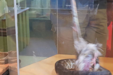 Healesville Sanctuary And Rayners Orchard Tour From Melbourne - Holiday Byron Bay 4