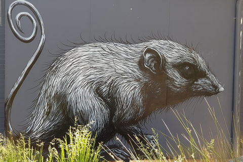 Healesville Sanctuary And Rayners Orchard Tour From Melbourne - Holiday Byron Bay 5