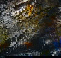 Ngilgi Cave Semi-guided Tour - Holiday Byron Bay