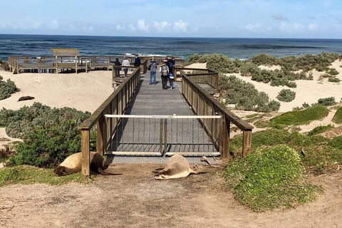 Kangaroo Island 4WD Tour - Best Of KI - Holiday Byron Bay 2
