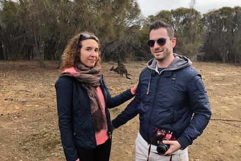 Kangaroo Island 4WD Tour - Best Of KI - Holiday Byron Bay 3