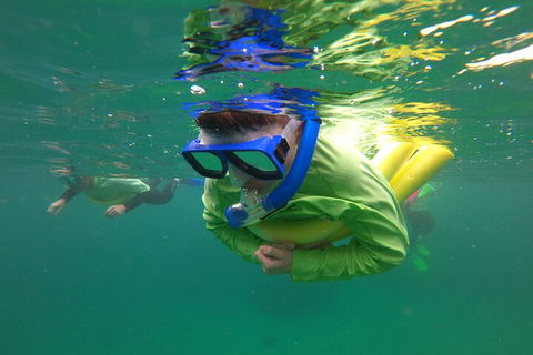Manly Snorkel Trip And Nature Walk With Local Guide - Holiday Byron Bay 5