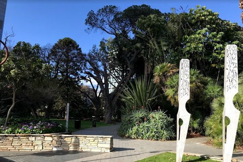 Perth Scavenger Hunt: Perched On A Swan - Holiday Byron Bay 2