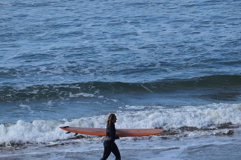 Private Day Tour Of Phillip Island Wildlife And Brighton Beach - Holiday Byron Bay 0