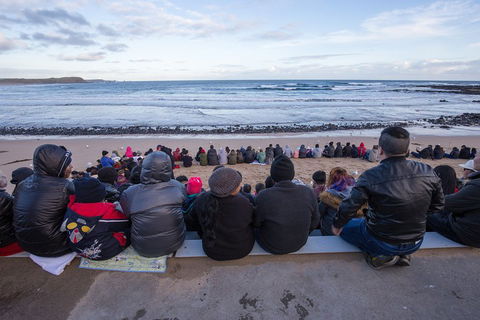 Private Day Tour Of Phillip Island Wildlife And Brighton Beach - Holiday Byron Bay 1