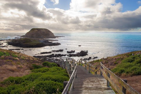 Healesville Sanctuary And Phillip Island Wildlife Bus Tour - Holiday Byron Bay 5