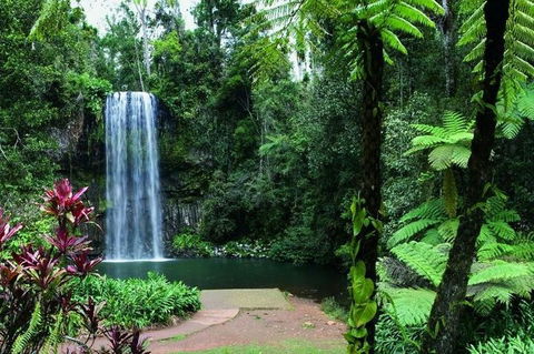 Paronella Park And Millaa Millaa Falls Full-day Tour From Cairns - Holiday Byron Bay 3