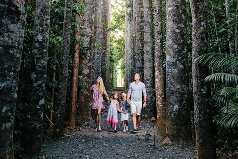 Paronella Park And Millaa Millaa Falls Full-day Tour From Cairns - Holiday Byron Bay 5
