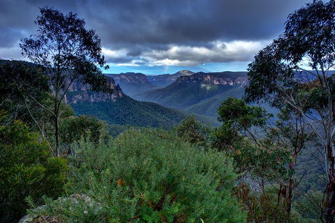 Ultimate Blue Mountains And Wildlife Tour - Holiday Byron Bay 1