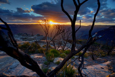 Ultimate Blue Mountains And Wildlife Tour - Holiday Byron Bay 2
