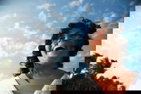 Hinterland Magic  Glow-worm Experience, Byron Bay