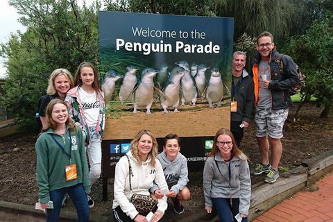 Phillip Island Medium Size Group Tour - Holiday Byron Bay 5