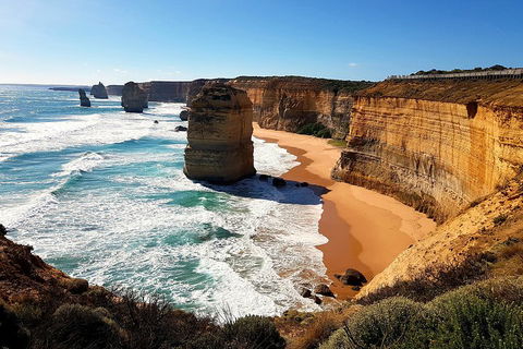 Helicopter Flight + Fine Dining Private Luxury Great Ocean Road Tour - Holiday Byron Bay 4